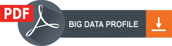 Big Data Profile